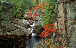 Inspirational nature picture Inspirational nature picture